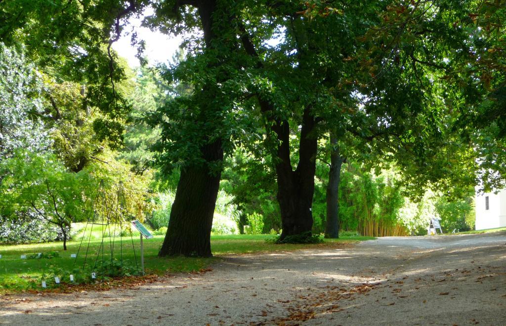 Streetview Wien - Premium Apartment Beim Belvedere Exteriör bild